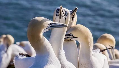 九州娱乐平台|电子竞技赛事v2.6.1